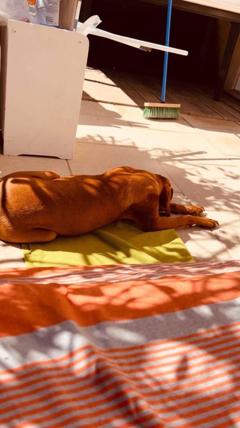 Plage / Beach / Marines De Gassin / Saint-Tropez Zewnętrze zdjęcie